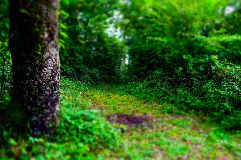 aside プロフィール